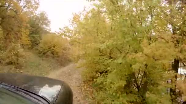 Das Auto fährt durch den herbstlichen Wald — Stockvideo