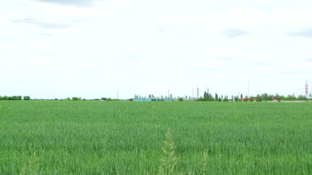 Il telaio si sposta dal campo di grano all'impianto di lavorazione del gas . — Video Stock