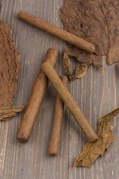 Cygara i liści tytoniu — Zdjęcie stockowe