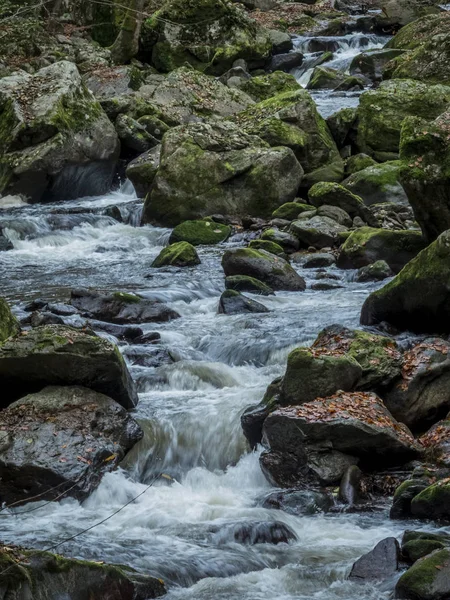 Creek with running water — Stock fotografie