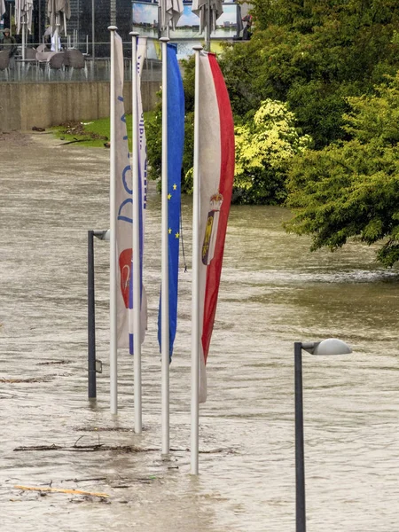 Hochwasser 2013, linz, Österreich — Stockfoto