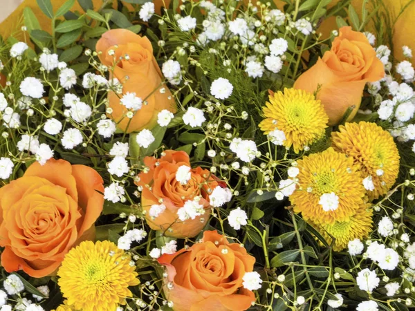 Forskellige afskårne blomster, baggrund - Stock-foto