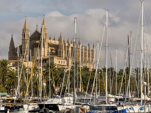 España, mallorca, palma, catedral —  Fotos de Stock