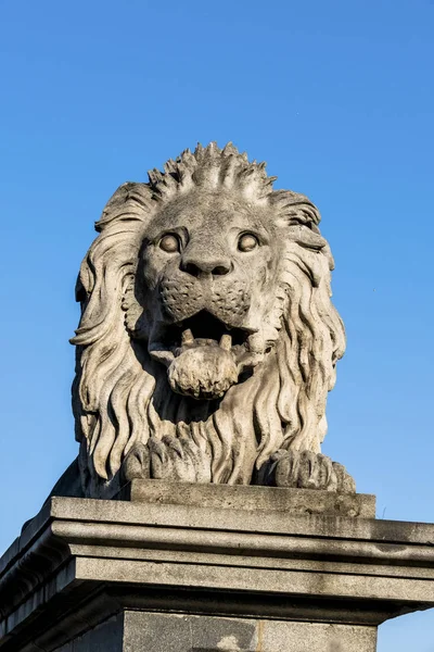 Hongarije, Boedapest, chain bridge — Stockfoto