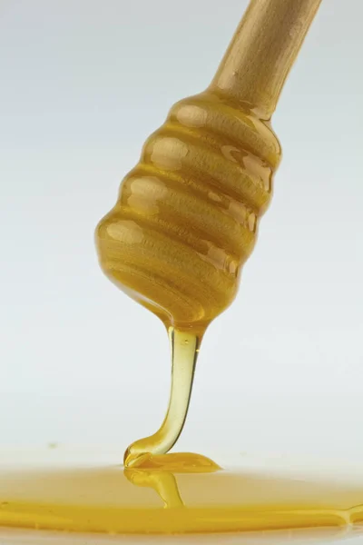 Honig vor weißem Hintergrund — Stockfoto