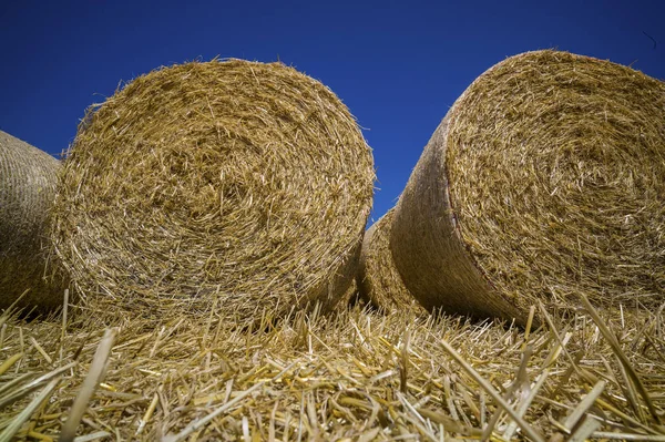 Getreideballen aus Stroh — Stockfoto