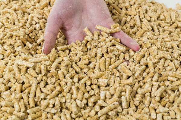 Hand met pellets als oude natie energie — Stockfoto