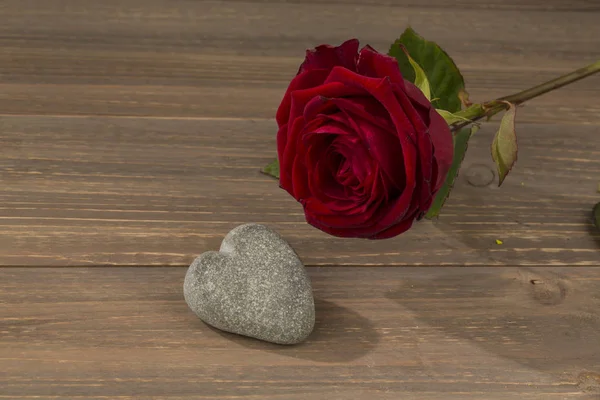 Roses na Walentynki i dzień matki — Zdjęcie stockowe