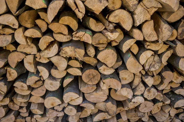 Troncos de árbol cortados por vicio —  Fotos de Stock