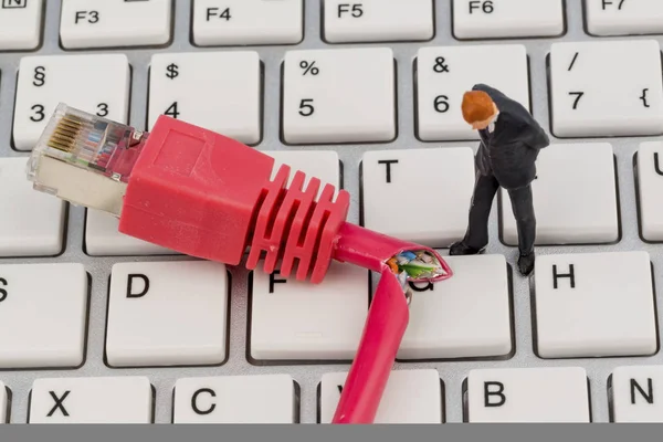 Trabajadores, conector de red, teclado —  Fotos de Stock