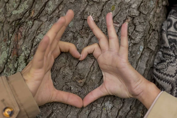 Влюбленная пара за деревом — стоковое фото