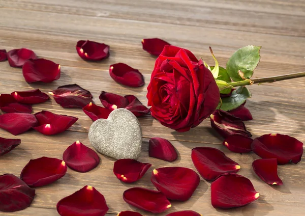 Розы на День Святого Валентина и День матери — стоковое фото