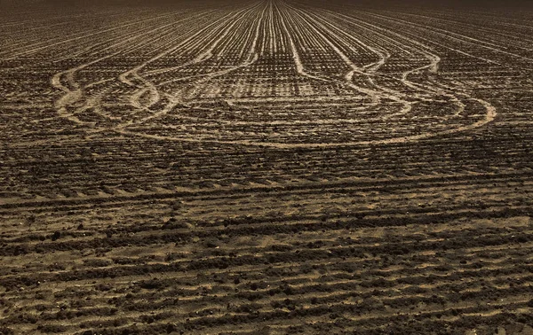 Traces of tractor on a field in agriculture — Stock Photo, Image