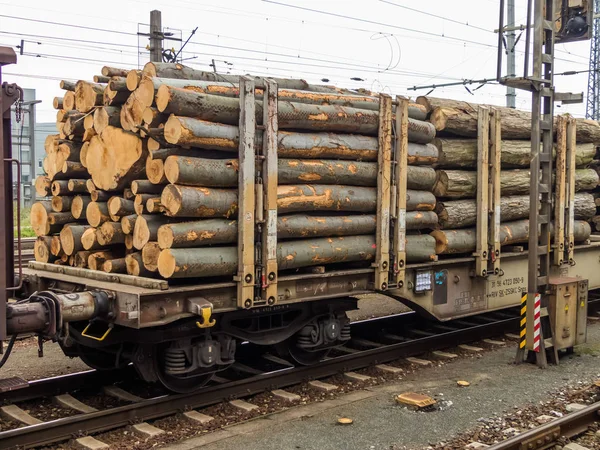 Cargador cargado con madera — Foto de Stock