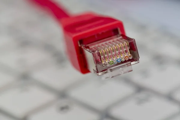 Cable de red en el teclado — Foto de Stock