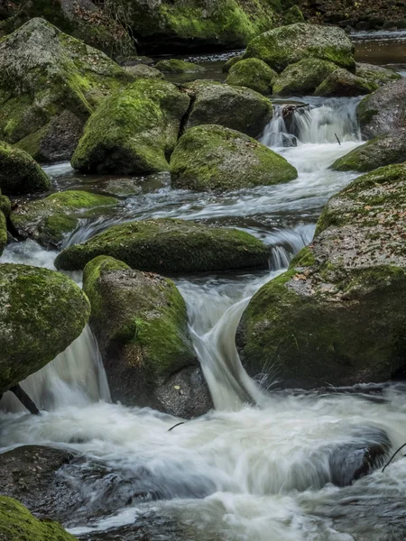 Ruisseau avec eau courante — Photo