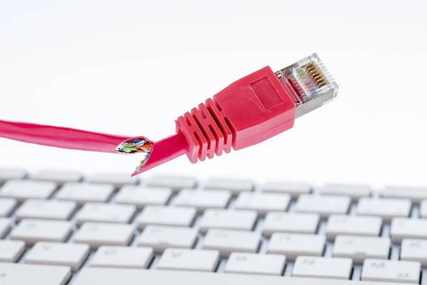 Broken network cable on keyboard — Stock Photo, Image