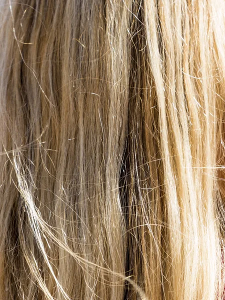 Donna con i capelli lunghi biondi — Foto Stock