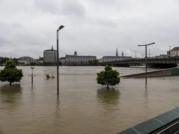 Flood 2013, linz, austria — Stock Photo, Image