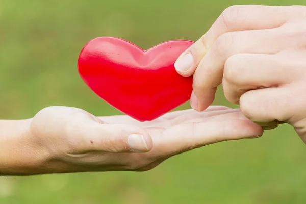 Hands hold heart — Stock Photo, Image