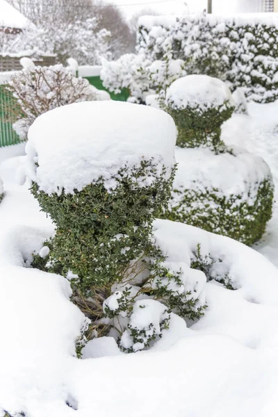 Dekoratif ahşap karla kaplı — Stok fotoğraf