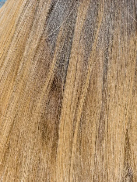 Frau mit blonden langen Haaren — Stockfoto