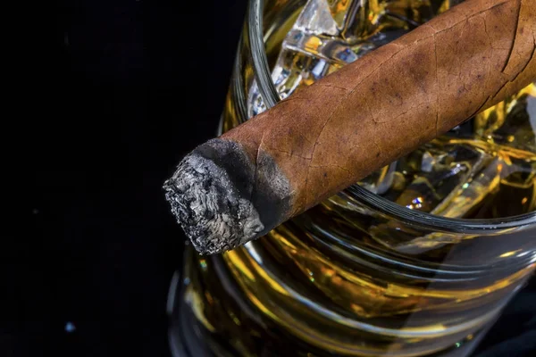 威士忌和雪茄 — 图库照片