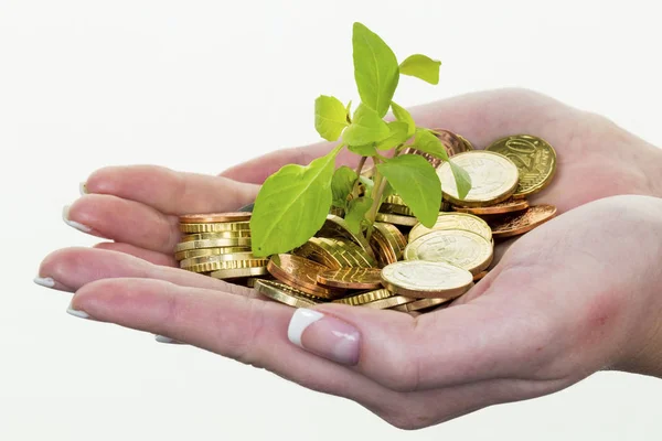 Dinheiro e planta. salvar foto ícone — Fotografia de Stock