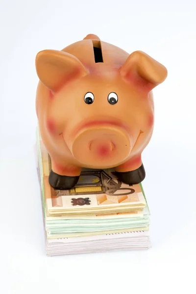 Piggy bank op bankbiljetten — Stockfoto