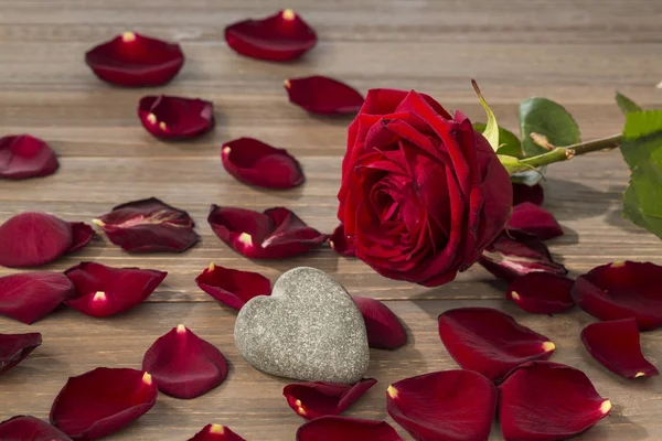 Rosen zum Valentinstag und Muttertag — Stockfoto