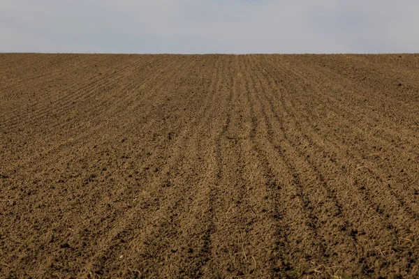 Field of a farmer — Stock Photo, Image