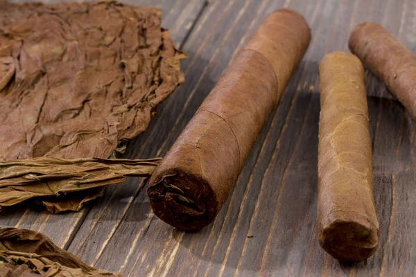 Puros y hojas de tabaco — Foto de Stock