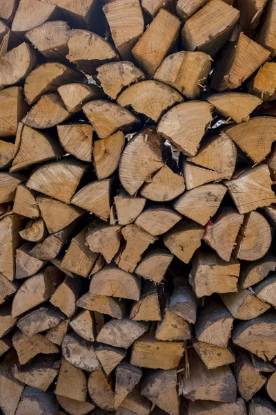 Tronchi d'albero tagliati — Foto Stock