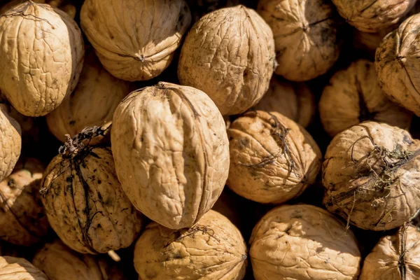 Many walnuts close-up — Stock Photo, Image