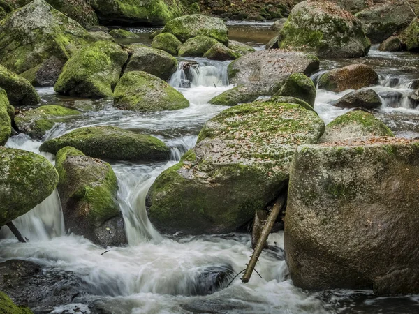 Creek with running water — Stock fotografie