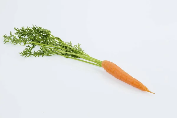 Fresh carrots on stick — Stock Photo, Image