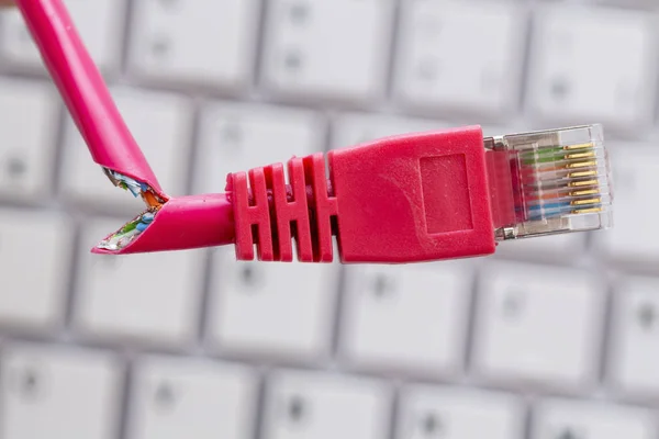 Câble réseau cassé sur le clavier — Photo