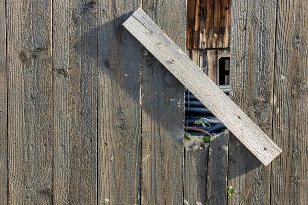 Alberello e vecchia recinzione in legno — Foto Stock