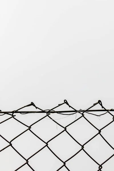 Drátěný plot před bílým pozadím — Stock fotografie