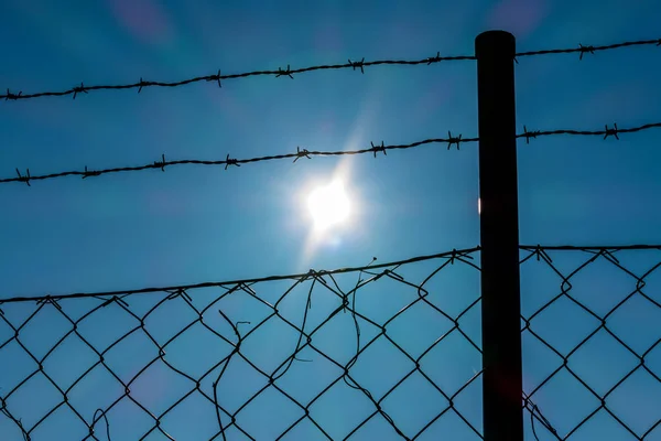 Barbed wire and sunshine — Stock Photo, Image