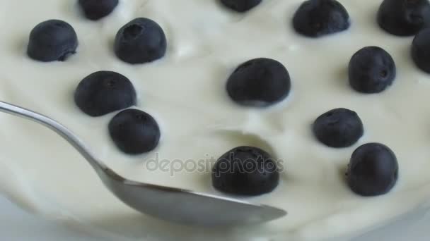 Blaubeeren weißen Joghurt mit einem Löffel herausnehmen — Stockvideo