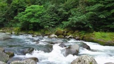 Dağ nehir dağ yaz doğa mtirala park Gürcistan görüntüleri