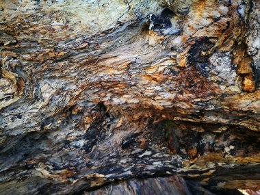 doku ağaç arka plan ahşap renkli