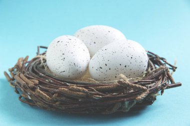 mavi bir arka plan üzerinde bir yuva üç yumurta