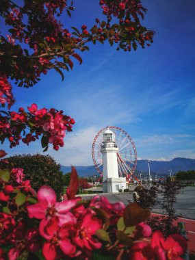 Arka plandaki dağlarda sakura, deniz feneri ve dönme dolaba çiçek açıyor. 06 Mayıs 20120 Batumi Georgia.