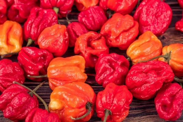 Fresh hot pepper — Stock Photo, Image