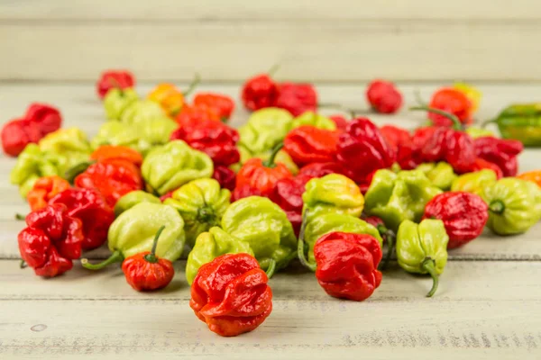 Fresh hot pepper — Stock Photo, Image