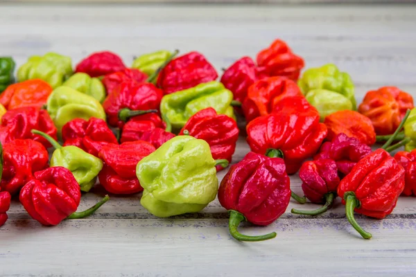 Fresh hot pepper — Stock Photo, Image
