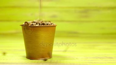 Çam fıstığı düşüyor