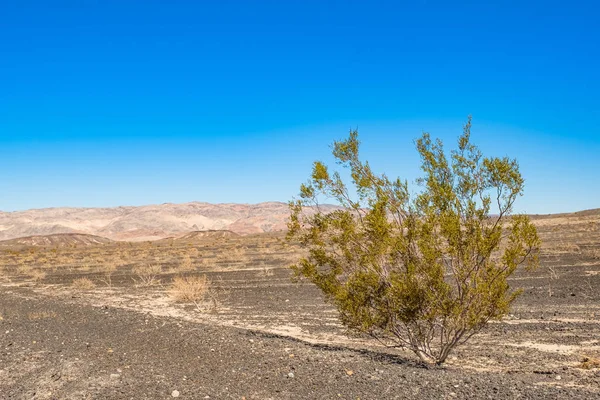 Vale Pista Corridas Parque Nacional Vale Morte — Fotografia de Stock